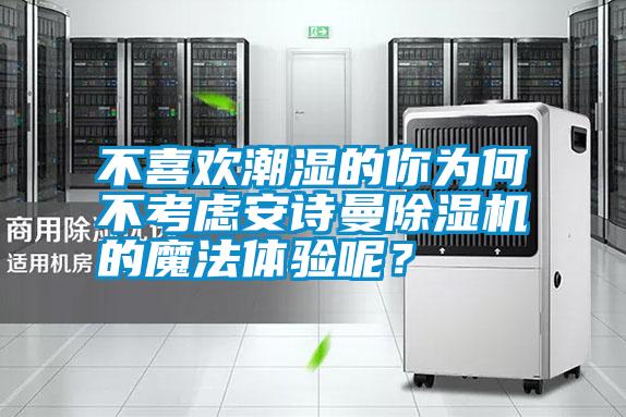 不喜歡潮濕的你為何不考慮安詩曼除濕機的魔法體驗呢?