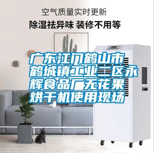 廣東江門(mén)鶴山市鶴城鎮(zhèn)工業(yè)二區(qū)永輝食品廠無(wú)花果烘干機(jī)使用現(xiàn)場(chǎng)