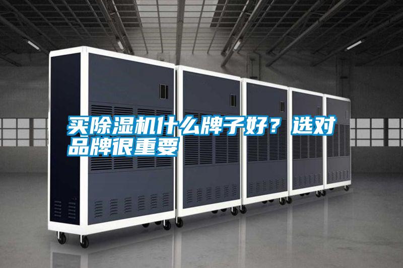 買除濕機(jī)什么牌子好?選對(duì)品牌很重要