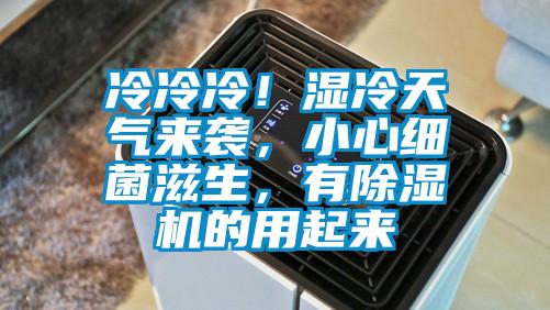 冷冷冷！濕冷天氣來襲，小心細菌滋生，有除濕機的用起來