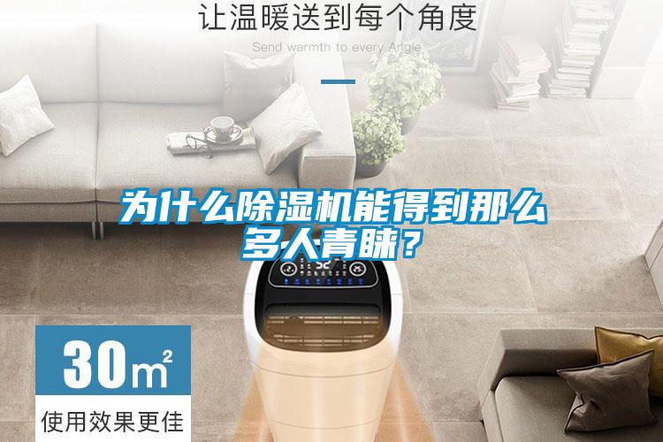 為什么除濕機能得到那么多人青睞?