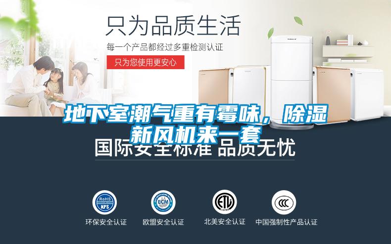 地下室潮氣重有霉味，除濕新風機來一套