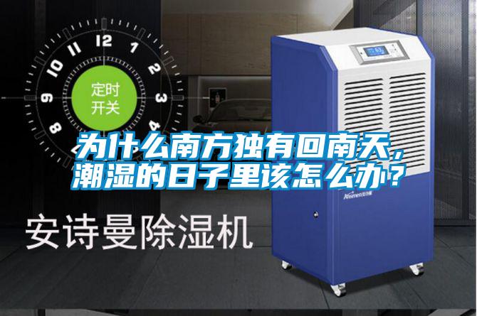 為什么南方獨有回南天,潮濕的日子里該怎么辦?