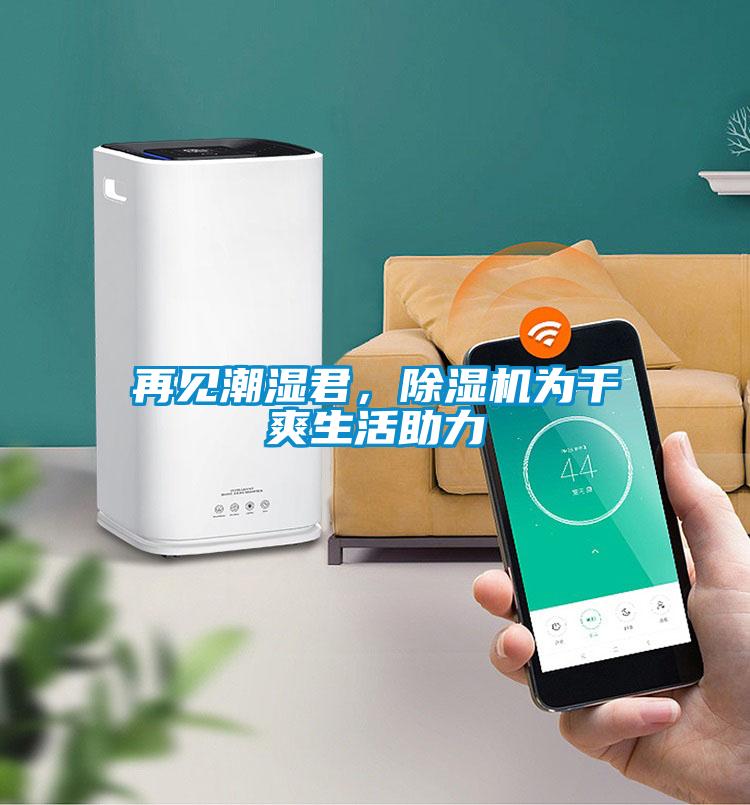 再見(jiàn)潮濕君,除濕機(jī)為干爽生活助力