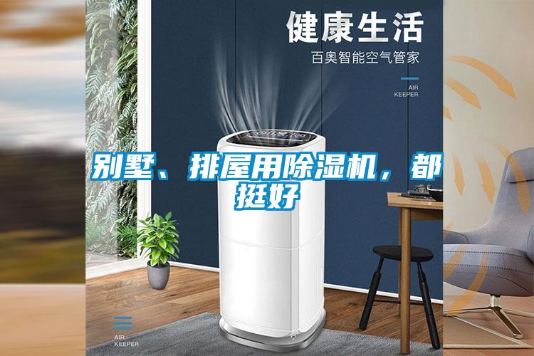 別墅、排屋用除濕機,都挺好