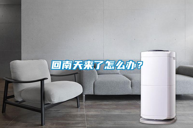回南天來(lái)了怎么辦？