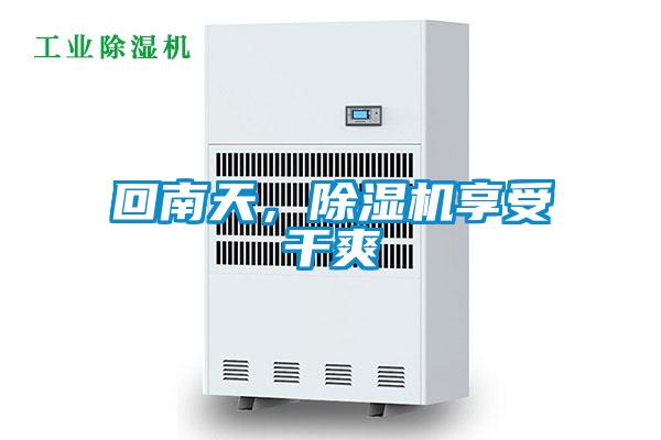 回南天,除濕機(jī)享受干爽