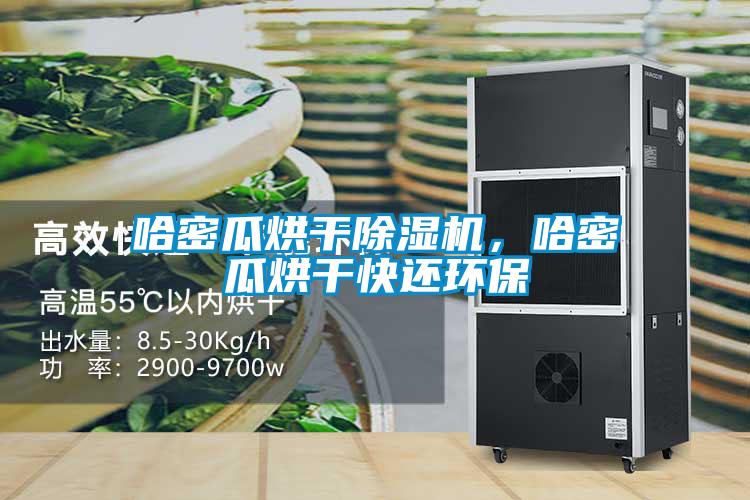 哈密瓜烘干除濕機，哈密瓜烘干快還環保