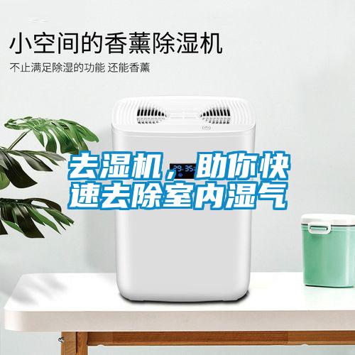 去濕機,助你快速去除室內濕氣