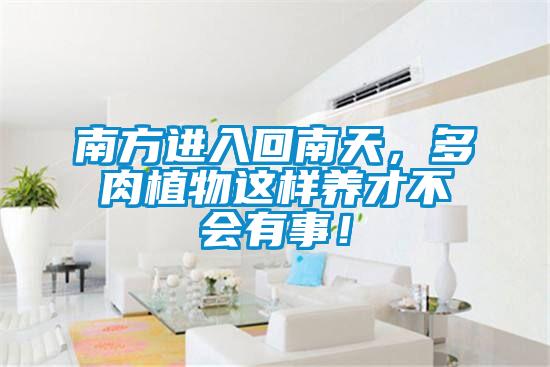 南方進入回南天，多肉植物這樣養才不會有事！