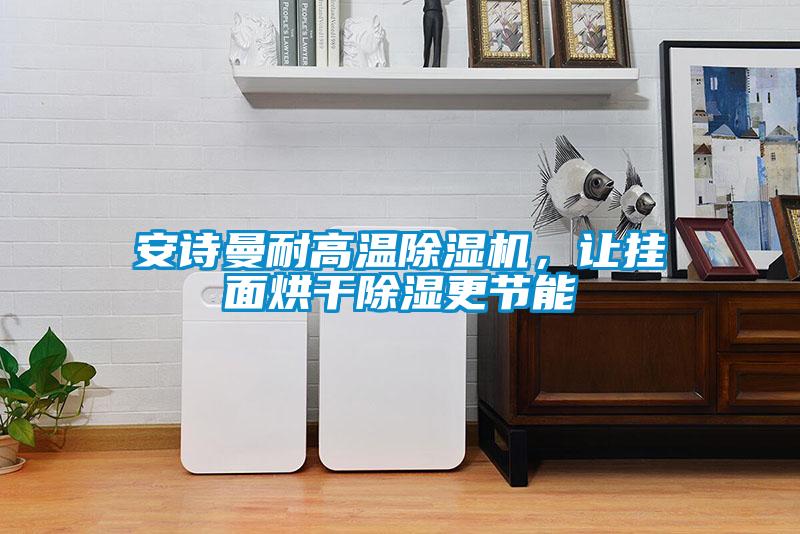 安詩曼耐高溫除濕機，讓掛面烘干除濕更節(jié)能