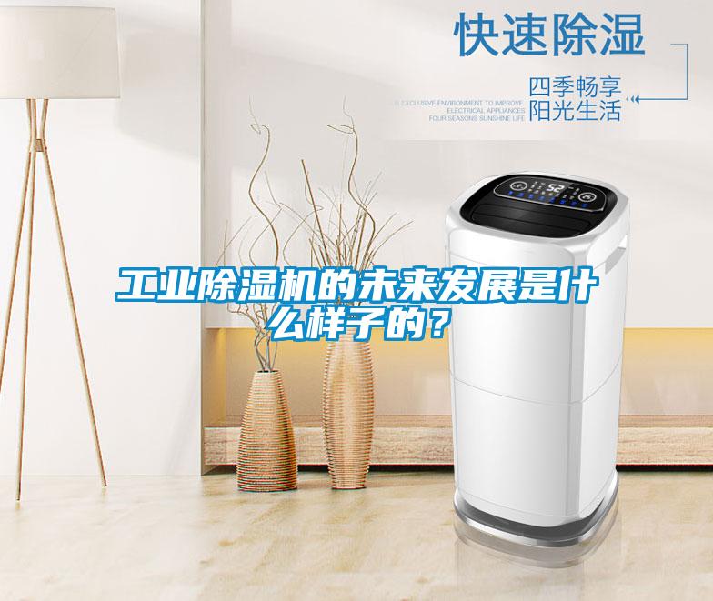 工業(yè)除濕機(jī)的未來發(fā)展是什么樣子的？
