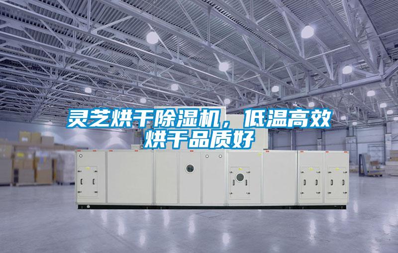 靈芝烘干除濕機，低溫高效烘干品質好