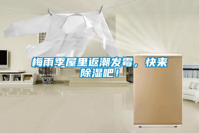 梅雨季屋里返潮發(fā)霉,快來除濕吧!
