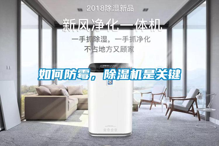 如何防霉，除濕機是關鍵