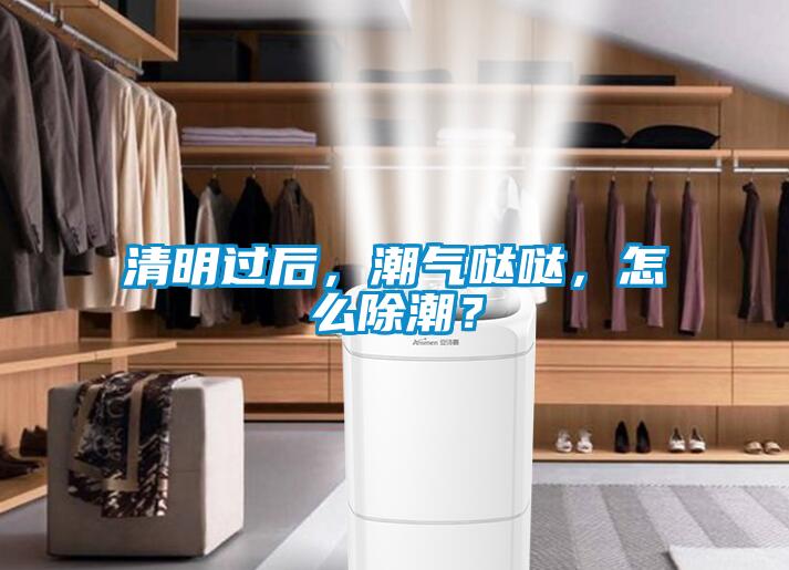清明過(guò)后，潮氣噠噠，怎么除潮？