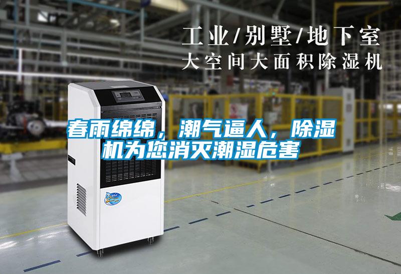 春雨綿綿，潮氣逼人，除濕機為您消滅潮濕危害