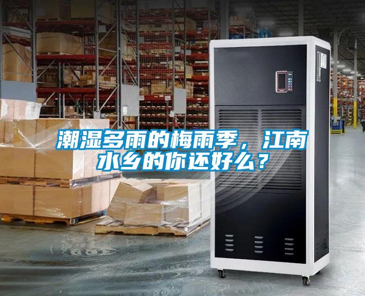 潮濕多雨的梅雨季,江南水鄉(xiāng)的你還好么?