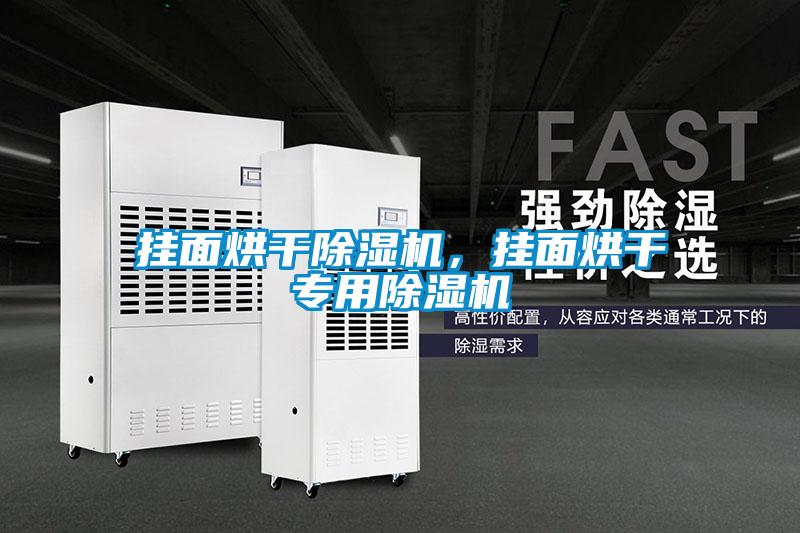 掛面烘干除濕機(jī),掛面烘干專用除濕機(jī)