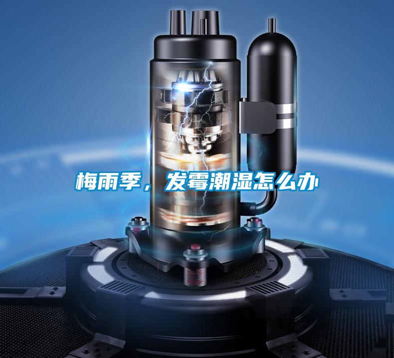 梅雨季,發霉潮濕怎么辦