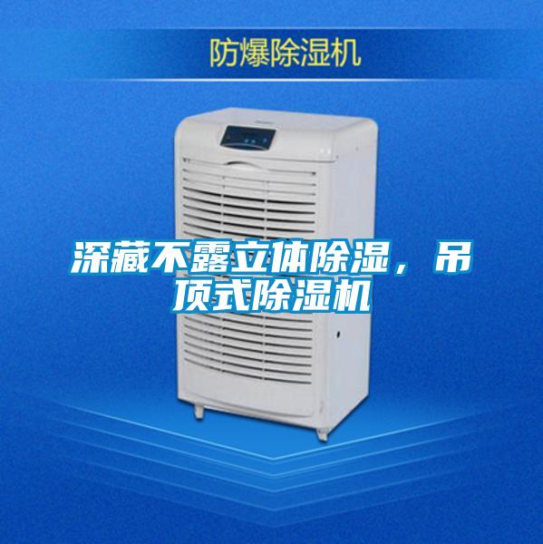 深藏不露立體除濕，吊頂式除濕機