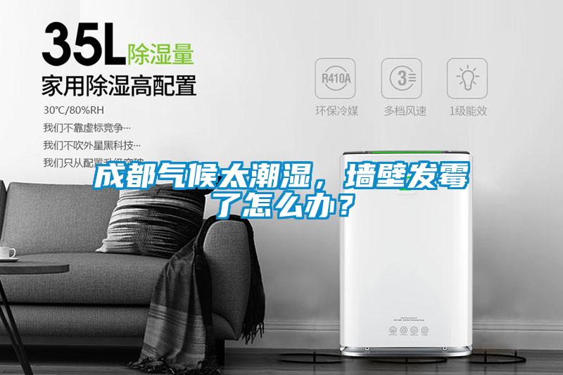 成都氣候太潮濕，墻壁發霉了怎么辦？