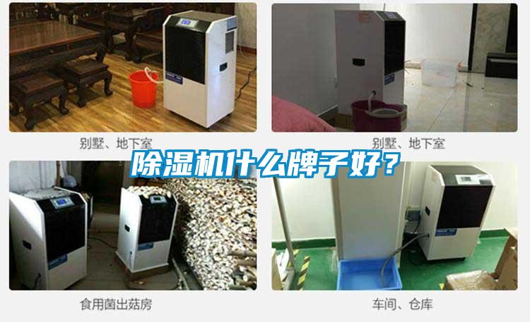 除濕機什么牌子好？