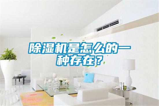 除濕機是怎么的一種存在？