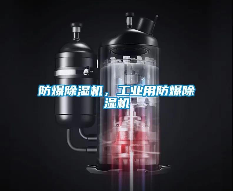 防爆除濕機,工業用防爆除濕機