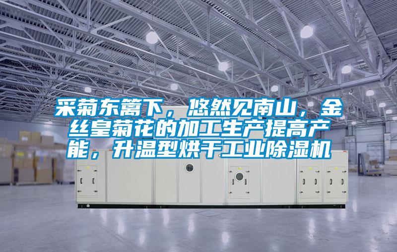 采菊東籬下,悠然見南山,金絲皇菊花的加工生產提高產能,升溫型烘干工業除濕機