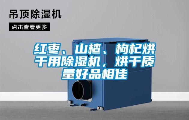 紅棗、山楂、枸杞烘干用除濕機(jī),烘干質(zhì)量好品相佳