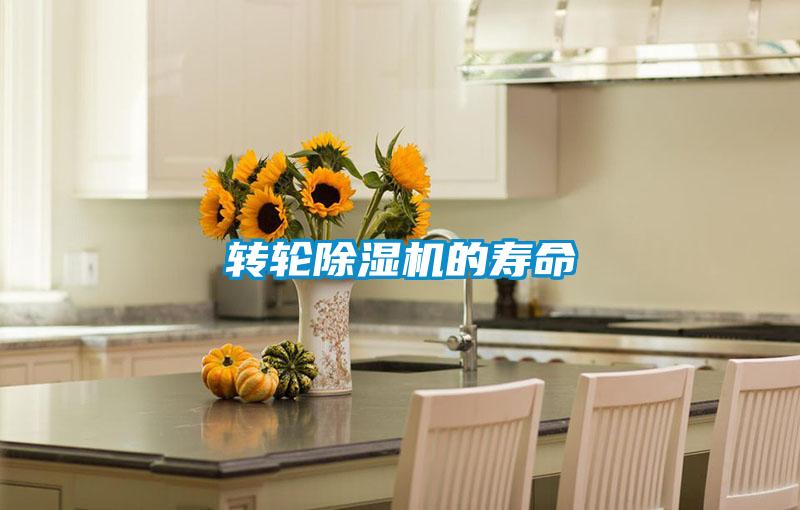 轉(zhuǎn)輪除濕機(jī)的壽命