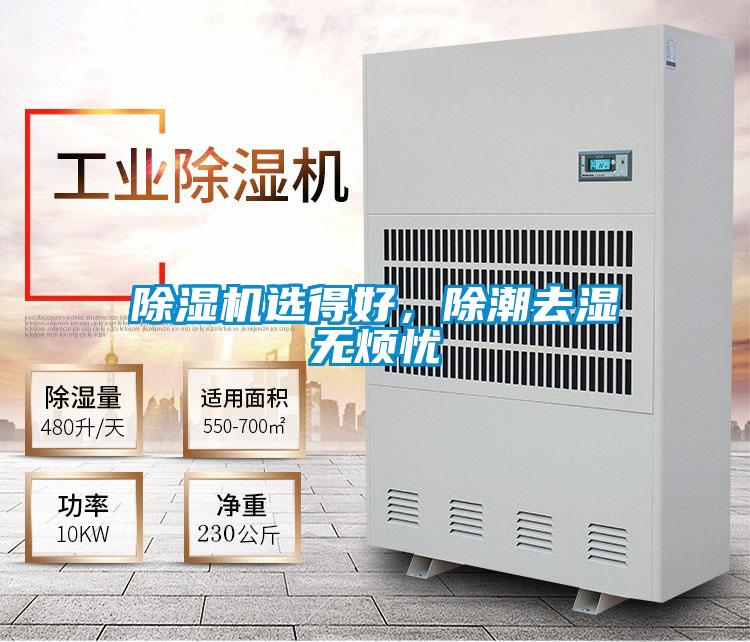 除濕機選得好,除潮去濕無煩憂