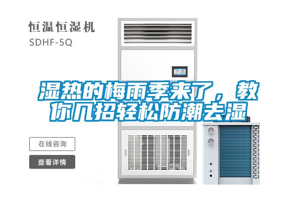 濕熱的梅雨季來了,教你幾招輕松防潮去濕