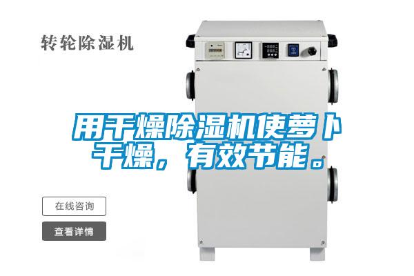 用干燥除濕機使蘿卜干燥,有效節能。