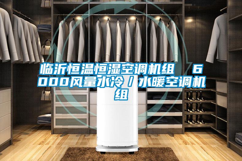 臨沂恒溫恒濕空調(diào)機(jī)組 6000風(fēng)量水冷/水暖空調(diào)機(jī)組