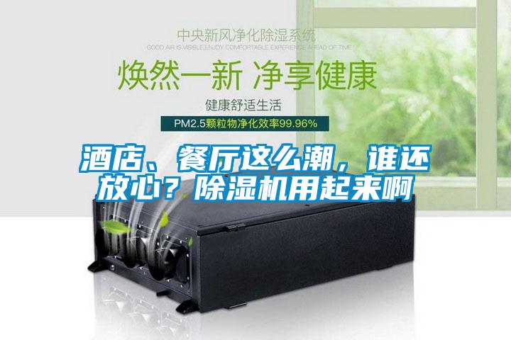 酒店、餐廳這么潮,誰(shuí)還放心?除濕機(jī)用起來(lái)啊