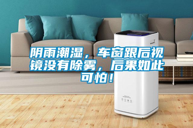 陰雨潮濕，車窗跟后視鏡沒有除霧，后果如此可怕！