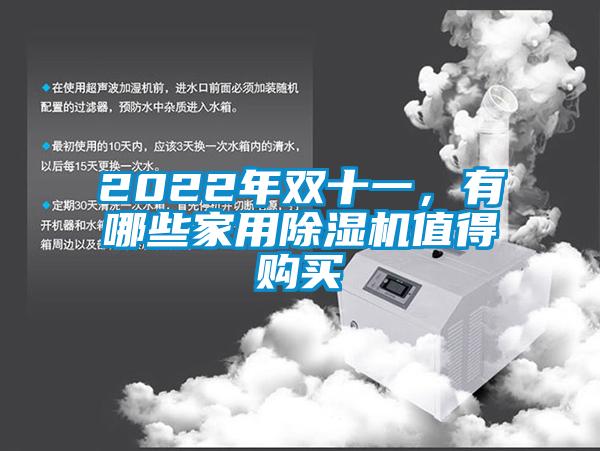 2022年雙十一,有哪些家用除濕機(jī)值得購(gòu)買