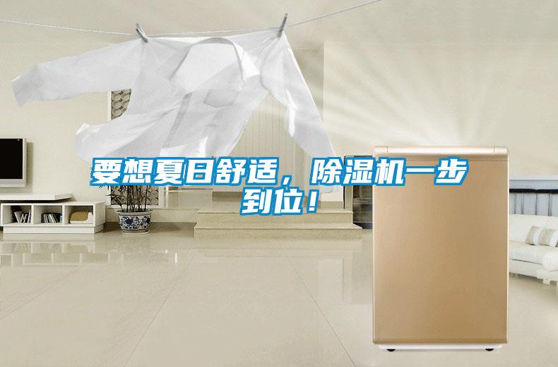 要想夏日舒適，除濕機一步到位！