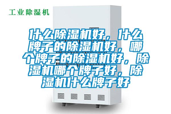 什么除濕機(jī)好，什么牌子的除濕機(jī)好，哪個(gè)牌子的除濕機(jī)好，除濕機(jī)哪個(gè)牌子好，除濕機(jī)什么牌子好