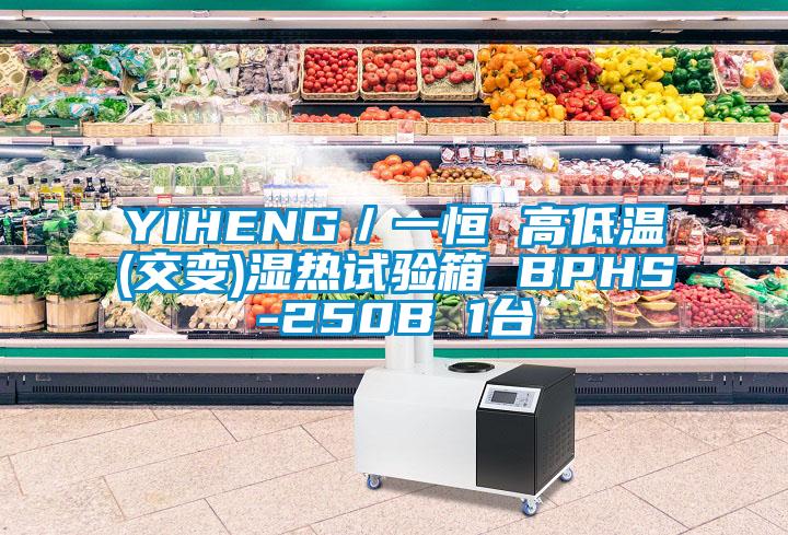 YIHENG/一恒 高低溫(交變)濕熱試驗箱 BPHS-250B 1臺