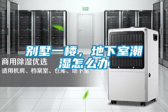 別墅一樓,地下室潮濕怎么辦