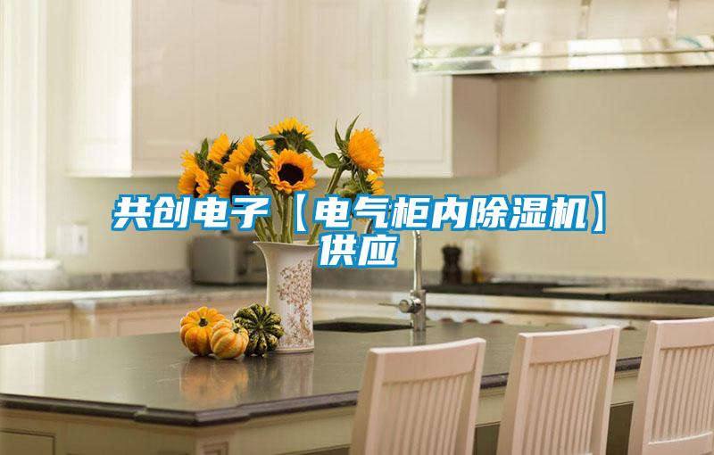 共創(chuàng)電子【電氣柜內(nèi)除濕機(jī)】供應(yīng)