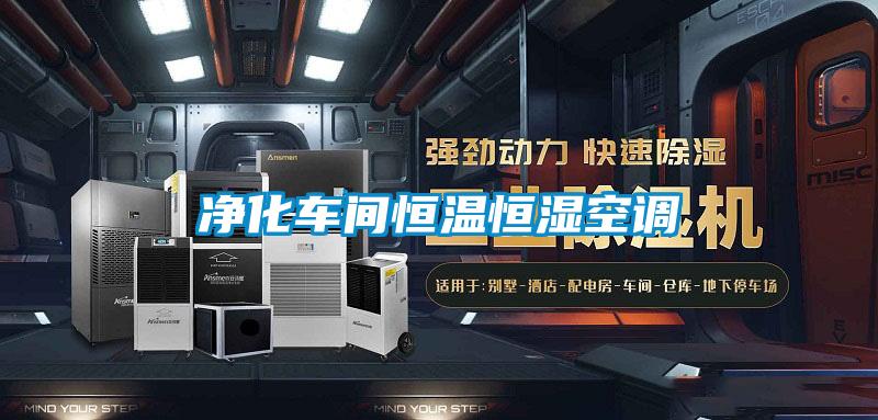 凈化車(chē)間恒溫恒濕空調(diào)