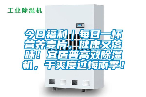 今日福利｜每日一杯營養麥片，健康又落味！宜盾普高效除濕機，干爽度過梅雨季！