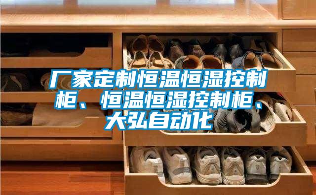 廠家定制恒溫恒濕控制柜、恒溫恒濕控制柜、大弘自動化