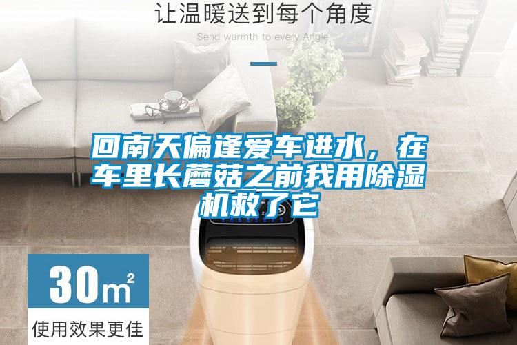 回南天偏逢愛車進水,在車?yán)镩L蘑菇之前我用除濕機救了它