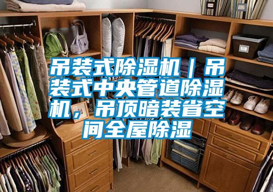 吊裝式除濕機(jī)｜吊裝式中央管道除濕機(jī)，吊頂暗裝省空間全屋除濕