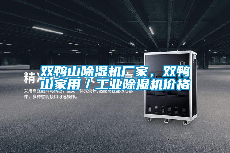 雙鴨山除濕機廠家，雙鴨山家用／工業除濕機價格